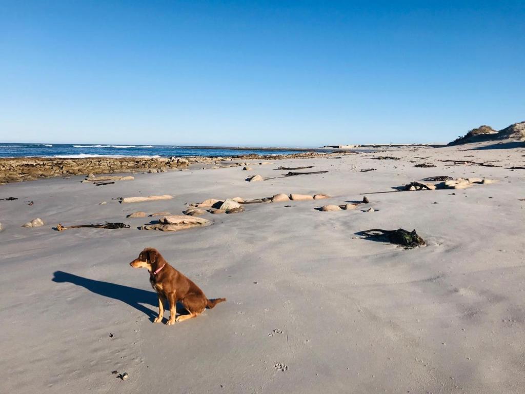 Port Nolloth Beach Shack ภายนอก รูปภาพ